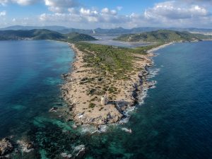 Ses Salines e-bike tour