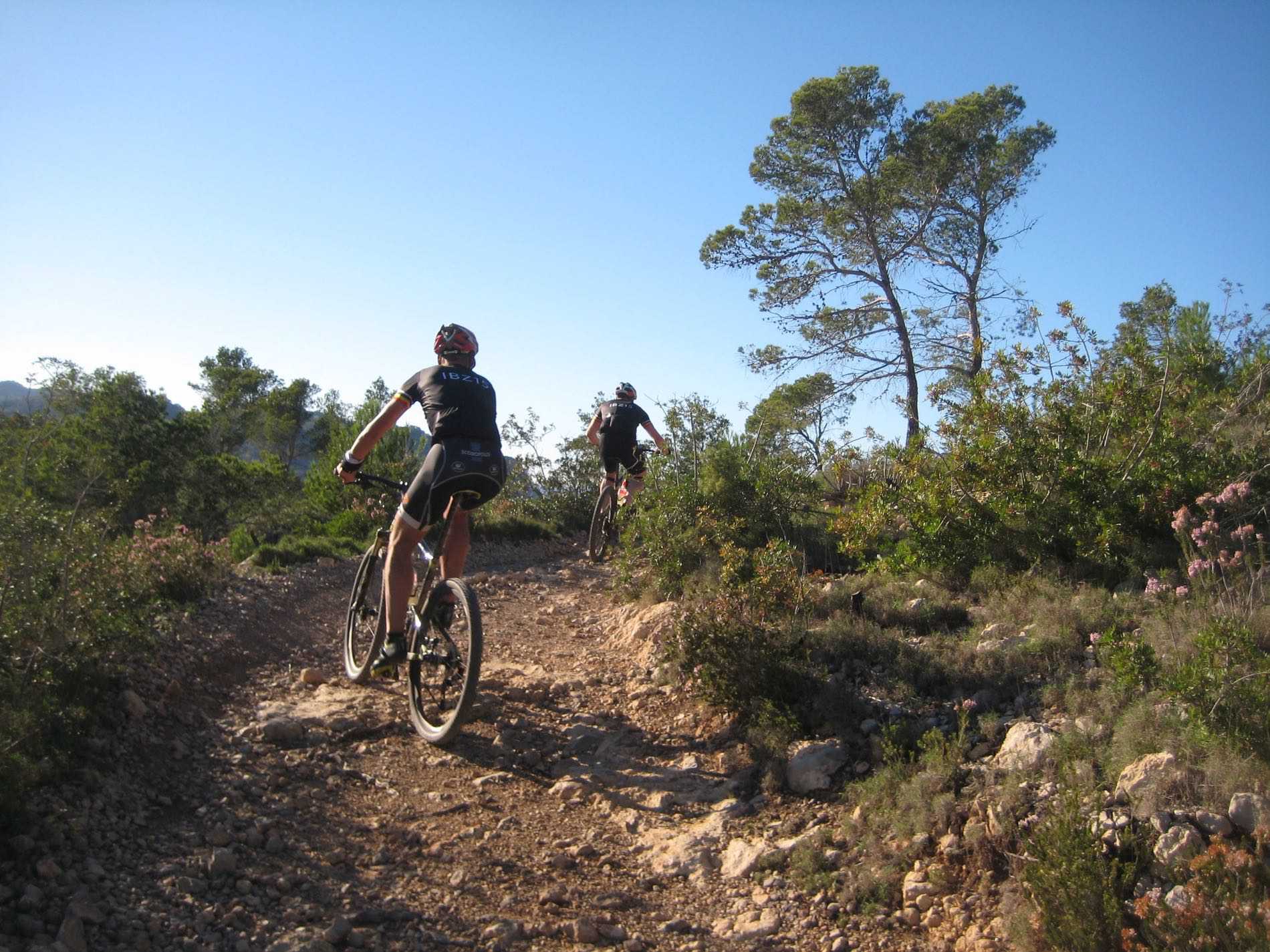 Arrowed cycling roads on Ibiza