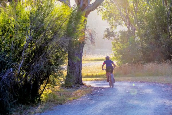 best places to cycle in ibiza