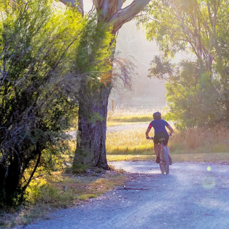 best places to cycle in ibiza