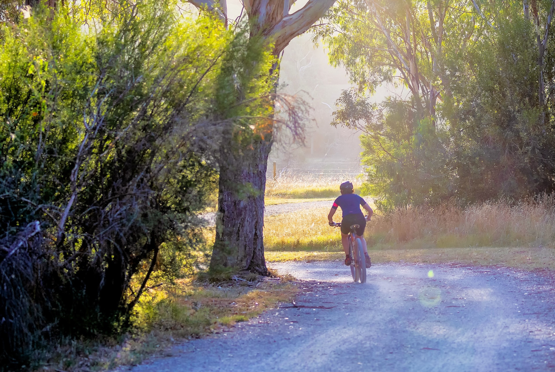 The Best Places to Cycle in Ibiza [Our Recommendations!]